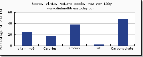 vitamin b6 and nutrition facts in pinto beans per 100g